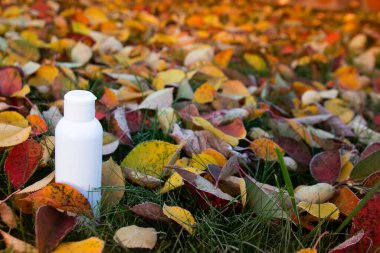 Çimenlerin ve düşmüş sarı yaprakların arasında beyaz bir kozmetik şişesi var. Sonbahar sabah aroması, soğuk tazeliği.. 