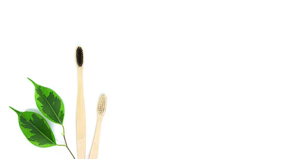 Brosses Dents Bambou Écologiques Noir Blanc Une Brindille Aux Feuilles — Photo