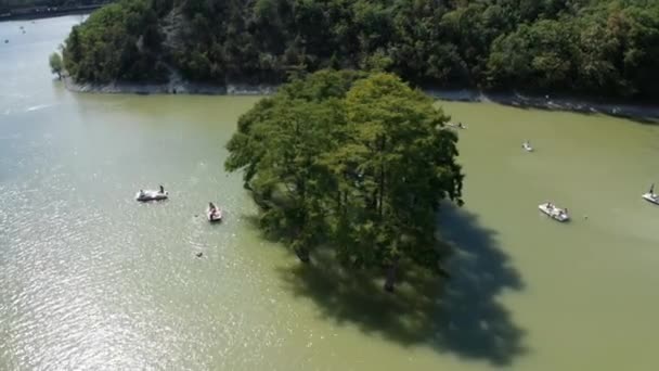 Cypressen staan in het water van het meer, vanuit de lucht gezien. Prachtig natuurpark — Stockvideo