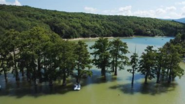 Rusya 'nın Anapa dağlarındaki göl suyunda duran yeşil ağaçlarla Cypress Gölü Sukko hava manzarası