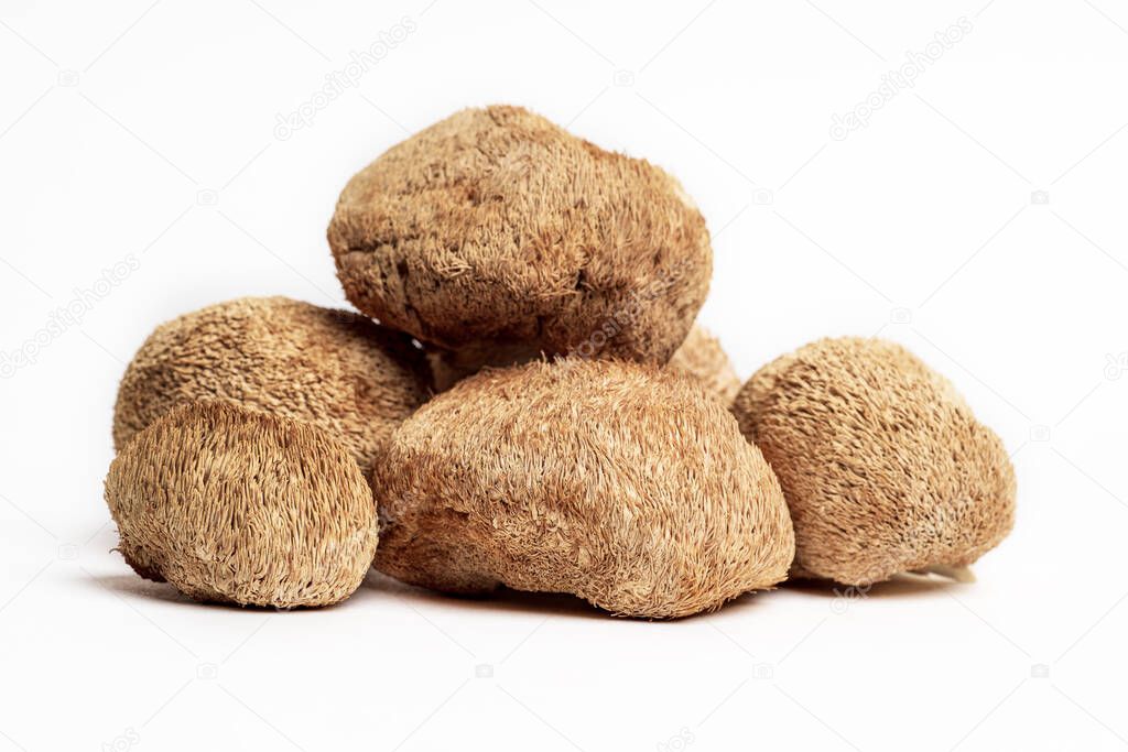 Dried Lions Mane mushrooms or Hericium Erinaceus also called bearded tooth fungus, monkey head mushroom, yamabushitake