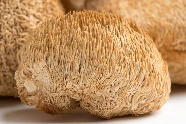 Jamur Lions Mane kering atau Hericium Erinaceus juga disebut jamur gigi berjenggot — Stok Foto