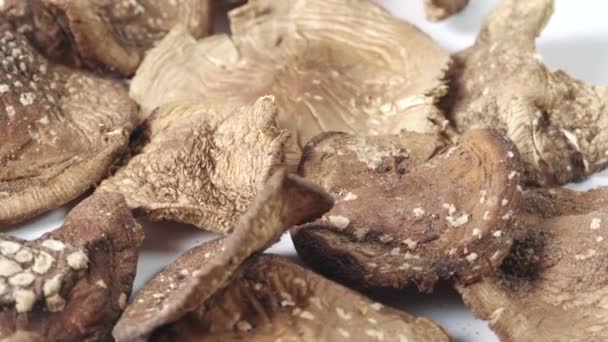 Amanita seca pantherina ou cogumelos de touca de pantera fecham. Medicamento fitoterápico alternativo e terapia de microdosagem — Vídeo de Stock