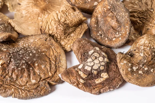 Jamur pantherina Amanita kering beracun untuk digunakan dalam pengobatan herbal alternatif dan terapi pemberian dosis mikro — Stok Foto