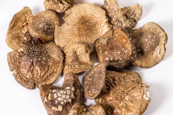 Dried Amanita pantherina or panther cap mushrooms top view on white background. Alternative herbal medicine and micro dosing therapy — Stockfoto