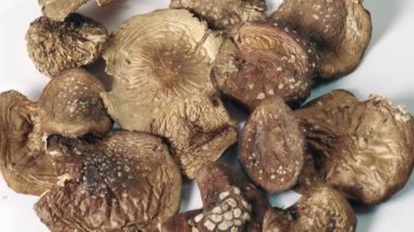 Kurutulmuş Amanita Pantherina ya da panter mantarı. Alternatif bitkisel ilaçlar ve mikro doz terapisi.