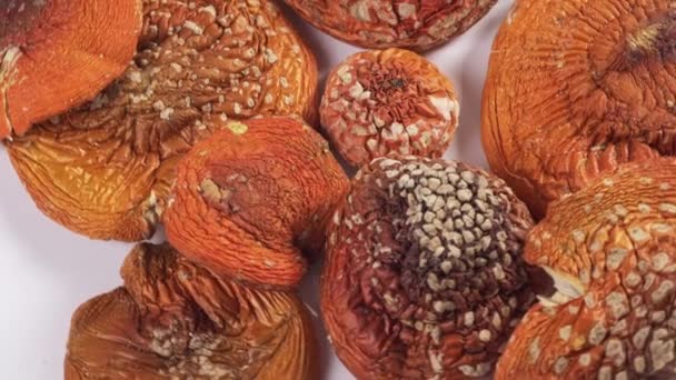Getrocknete rote Amanita-Muskarien oder Fliegenpilze, die rotieren. Mikrodosierung und alternative Kräutermedizin — Stockvideo