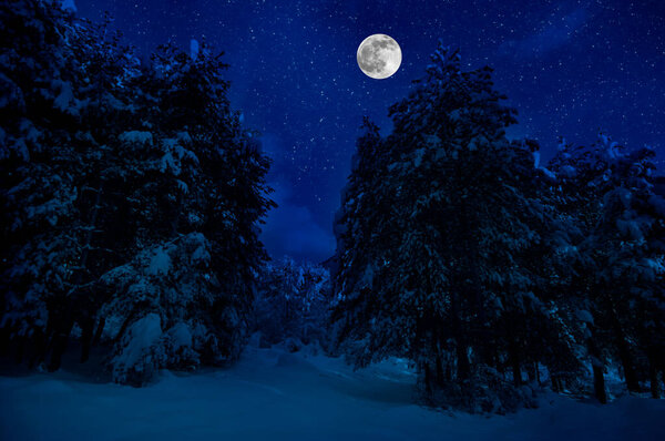 Mountain Road through the snowy forest on a full moon night. Scenic night winter landscape of dark blue sky with moon and stars. Azerbaijan