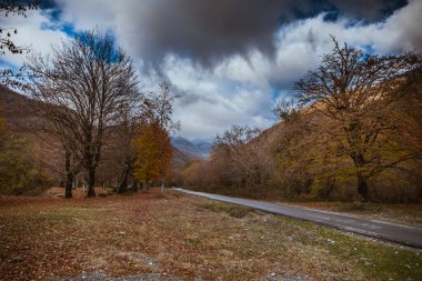 Günbatımında asfalt dağ yolu olan renkli sonbahar ormanıyla muhteşem bir manzara. Sonbaharda akşamları boş yollar, ağaçlar ve güneş ışığı olan güzel bir manzara. Seyahat geçmişi. Doğa