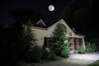 Geceleri ormanda bir hayaletin olduğu eski bir ev ya da sis içinde terk edilmiş bir korku evi. Ölü ağaç ormanındaki eski mistik bina. Geceleri aylı ağaçlar. Gerçeküstü ışıklar. Korku Cadılar Bayramı konsepti