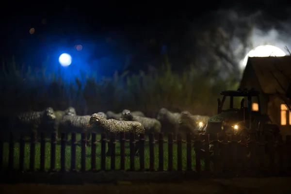 农场里的羊农场 生活概念 装饰玩具的形象在晚上 有选择的重点 — 图库照片