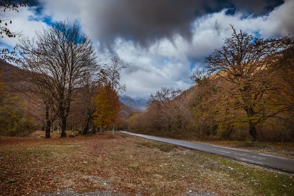 Günbatımında asfalt dağ yolu olan renkli sonbahar ormanıyla muhteşem bir manzara. Sonbaharda akşamları boş yollar, ağaçlar ve güneş ışığı olan güzel bir manzara. Seyahat geçmişi. Doğa
