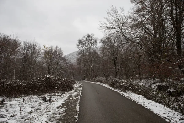 Zimní Stromy Horách Pokryté Čerstvým Sněhem Krásná Krajina Větvemi Stromů — Stock fotografie