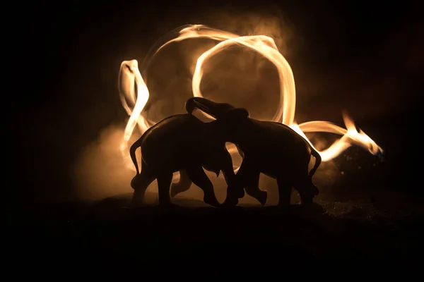 Éléphant Combats Silhouettes Sur Fond Feu Deux Taureaux Éléphant Interagissent — Photo