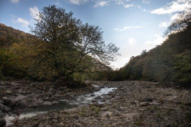 Güneşli bir sabahta dağ nehri. Dağlarda güzel doğa. Azerbaycan Kafkasya doğası.