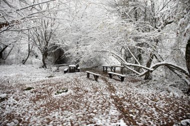 Kış ormanında karla kaplı eski ahşap bir masa. Karlı bir arka plan. kış doğası konsepti.