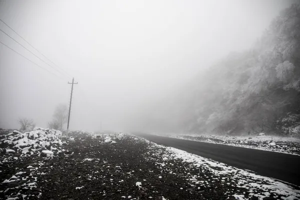 Árvores Inverno Montanhas Cobertas Neve Fresca Bela Paisagem Nebulosa Com — Fotografia de Stock