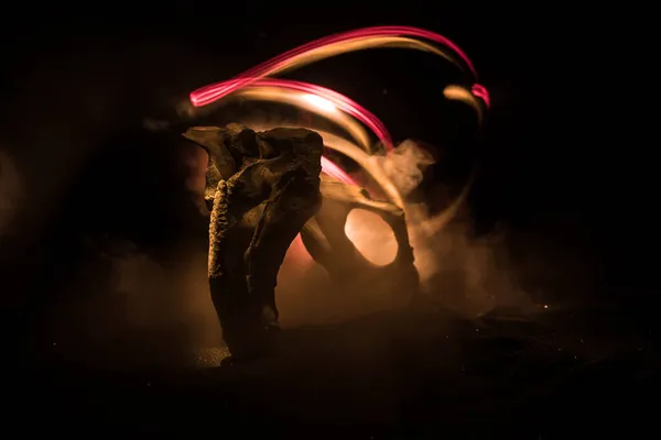 Абстрактная Сюрреалистическая Концепция Гигантская Кость Животного Темноте Ночь Туманом Светом — стоковое фото