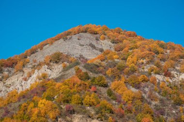 Renkli sonbahar ormanıyla muhteşem bir manzara. Sonbahar mevsiminde güzel ağaçlar. Azerbaycan Doğası