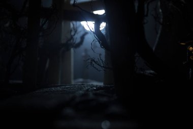 Yaratıcı sanat dekorasyonu. Gece soyut Japon tarzı ahşap tünel. Fantezi ormanında gece sahnesi. Seçici odak