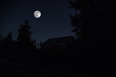 Geceleri ormanda bir hayaletin olduğu eski bir ev ya da sis içinde terk edilmiş bir korku evi. Ölü ağaç ormanındaki eski mistik bina. Geceleri aylı ağaçlar. Gerçeküstü ışıklar. Korku Cadılar Bayramı konsepti