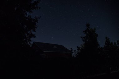 Geceleri ormanda bir hayaletin olduğu eski bir ev ya da sis içinde terk edilmiş bir korku evi. Ölü ağaç ormanındaki eski mistik bina. Geceleri aylı ağaçlar. Gerçeküstü ışıklar. Korku Cadılar Bayramı konsepti