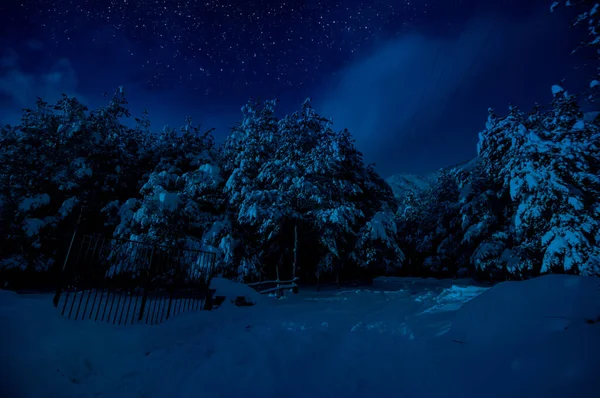 Mountain Road Través Del Bosque Nevado Una Noche Luna Llena — Foto de Stock