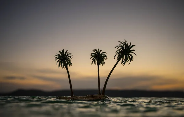 Romantic Sunset Scene Fantasy Landscape Little Island Palms Sunset Creative — Stock Photo, Image