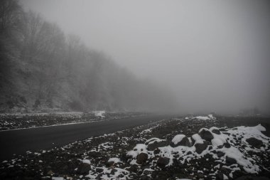 Dağlardaki kış ağaçları taze karla kaplıdır. Karla kaplı ağaç dallarıyla güzel sisli bir manzara. Kafkasya 'daki dağ yolunda. Azerbaycan
