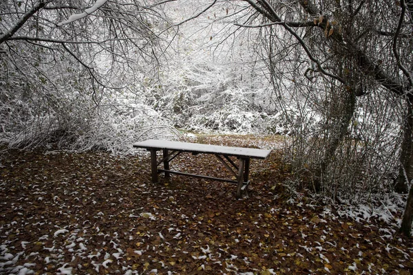 Vieux Plateau Bois Recouvert Neige Dans Forêt Hiver Fond Neigeux — Photo