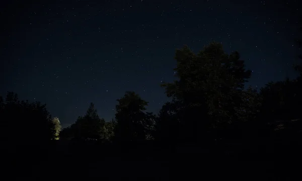 Geceleri Ormanda Bir Hayaletin Olduğu Eski Bir Sis Içinde Terk — Stok fotoğraf