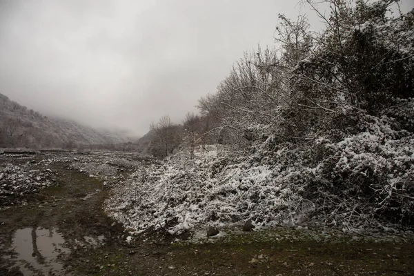 Árboles Invierno Montañas Cubiertas Nieve Fresca Hermoso Paisaje Niebla Con — Foto de Stock