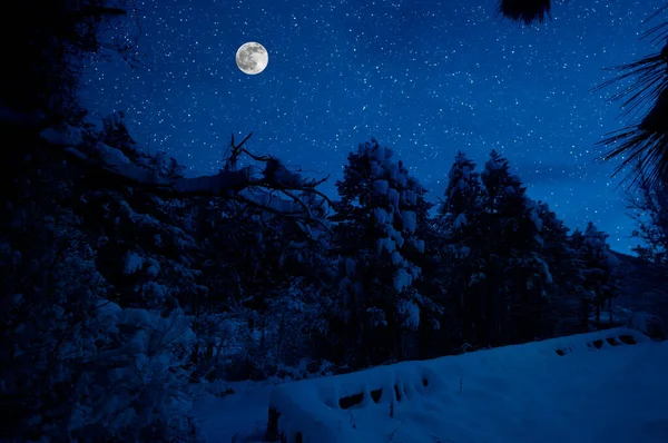 Mountain Road Snowy Forest Full Moon Night Scenic Night Winter — Stock Photo, Image