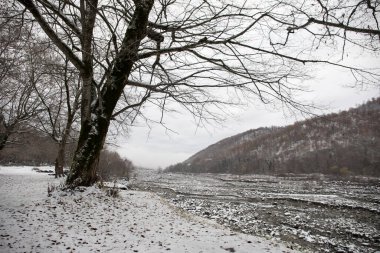 Dağlardaki kış ağaçları taze karla kaplıdır. Karla kaplı ağaç dallarıyla güzel sisli bir manzara. Kafkasya 'daki dağ yolunda. Azerbaycan