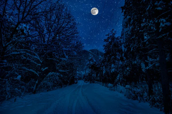 Mountain Road Través Del Bosque Nevado Una Noche Luna Llena — Foto de Stock