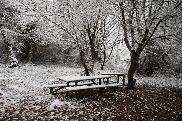 Antigua Mesa Madera Cubierta Nieve Bosque Invierno Fondo Nevado Concepto —  Fotos de Stock