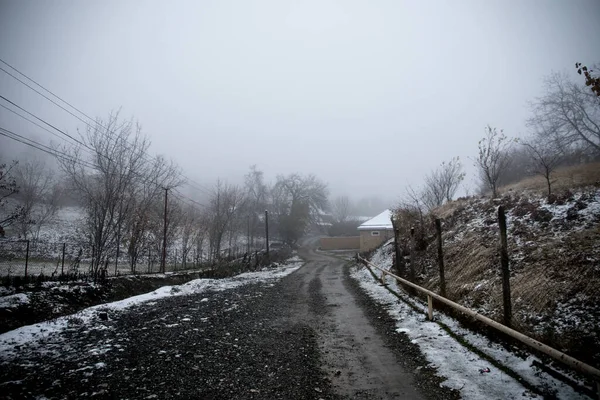 Árboles Invierno Montañas Cubiertas Nieve Fresca Hermoso Paisaje Con Ramas — Foto de Stock