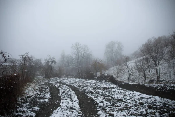 Vinterträd Berg Täckta Med Nysnö Vackert Dimmigt Landskap Med Grenar — Stockfoto