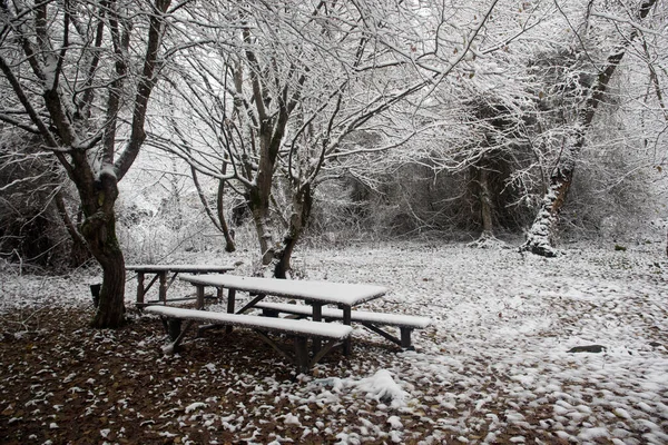 Antigua Mesa Madera Cubierta Nieve Bosque Invierno Fondo Nevado Concepto —  Fotos de Stock