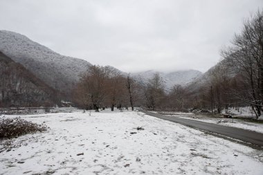 Dağlardaki kış ağaçları taze karla kaplıdır. Karla kaplı ağaç dallarıyla güzel sisli bir manzara. Kafkasya 'daki dağ yolunda. Azerbaycan