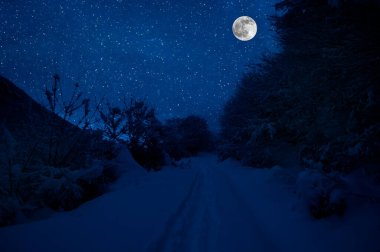 Dolunay gecesi karlı ormanda Dağ Yolu. Ay ve yıldızlı, koyu mavi gökyüzü manzaralı gece manzarası. Azerbaycan
