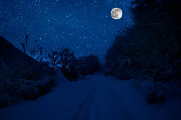 满月的夜晚 山路穿过白雪覆盖的森林 景色宜人的冬夜风景 深蓝色的天空 有月亮和星星 阿塞拜疆 — 图库照片