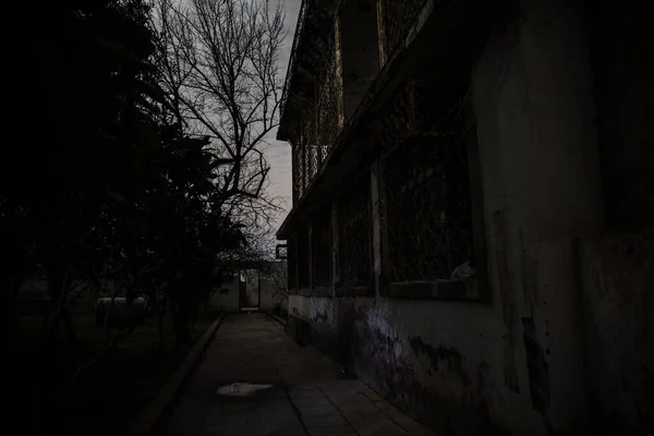 Antigua Casa Con Fantasma Bosque Por Noche Casa Del Terror — Foto de Stock