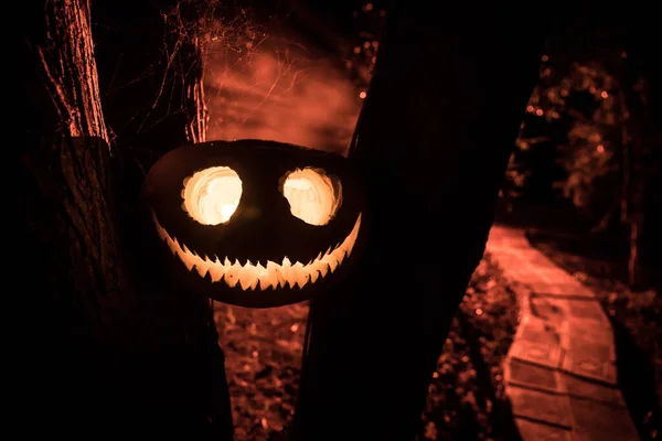 Κολοκύθα Που Καίγεται Στο Δάσος Νύχτα Τρομακτικό Jack Lantern Χαμογελώντας — Φωτογραφία Αρχείου