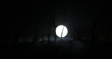 Ürkütücü karanlık manzara, sisli bir gecede bataklıktaki ağaç siluetlerini gösteriyor. Gizemli orman ve dramatik bulutlu gece gökyüzü