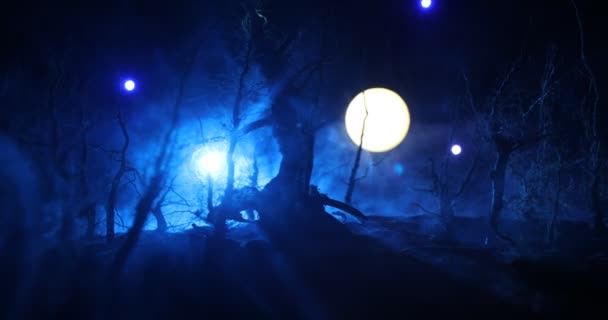 Peisaj Întunecat Care Arată Siluete Copaci Mlaștină Noaptea Cețoasă Noaptea — Videoclip de stoc