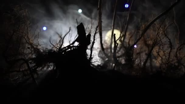 雾蒙蒙的夜晚 阴暗的景象展现了沼泽中树木的轮廓 夜晚神秘的森林和戏剧化的云彩夜空 — 图库视频影像
