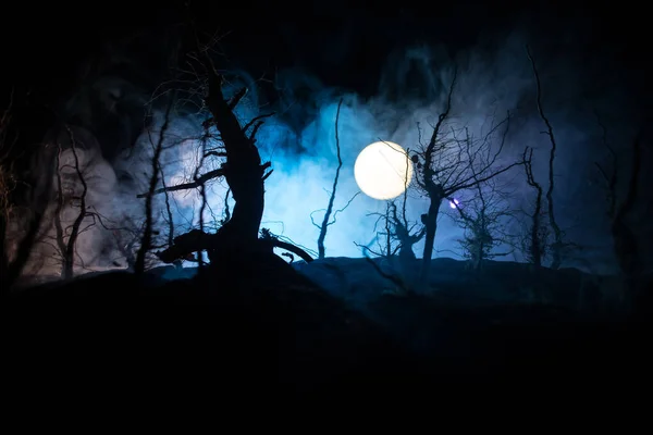 Strašidelná Tmavá Krajina Ukazující Siluety Stromů Bažinách Mlhavé Noci Noc — Stock fotografie