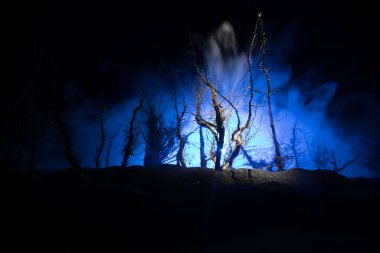 Ürkütücü karanlık manzara, sisli bir gecede bataklıktaki ağaç siluetlerini gösteriyor. Ateşin içindeki gizemli orman ve dramatik bulutlu gece gökyüzü