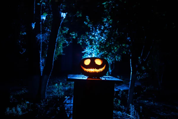 Tökégetés Erdőben Éjszaka Ijesztő Jack Lámpás Mosolygó Izzó Tök Sötét — Stock Fotó
